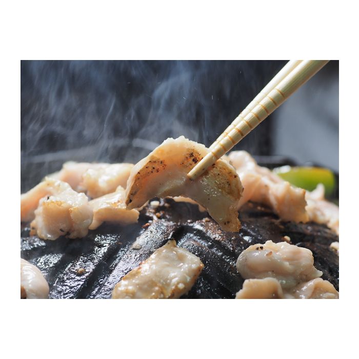 特撰豚塩ホルモン